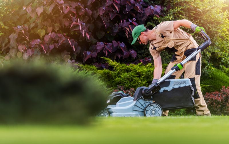 Lawn Repair Service